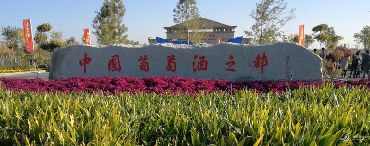 守護“中國葡萄酒之都”, 上百臺優(yōu)測溫設(shè)備應(yīng)用于新疆瑪納斯縣